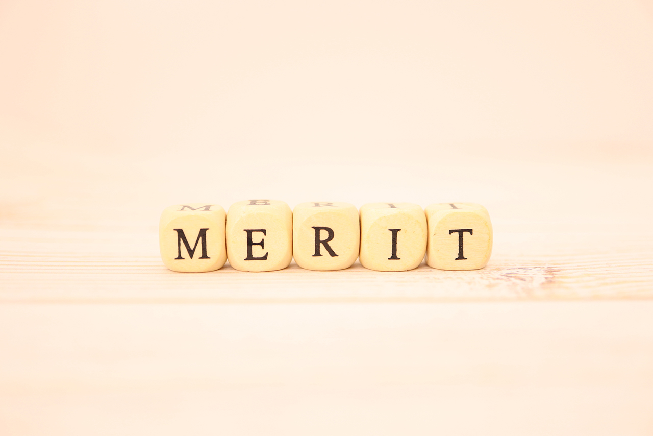 MERIT