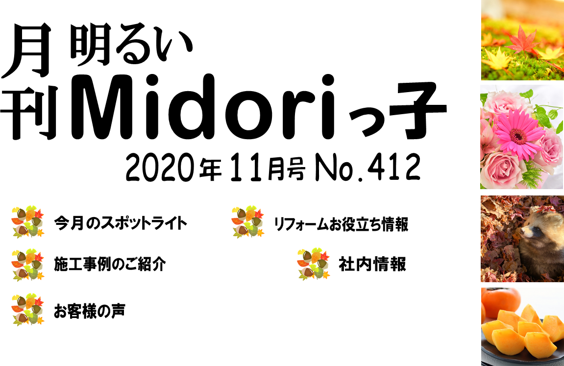 月刊　明るいMidoriっ子 2020年11月号